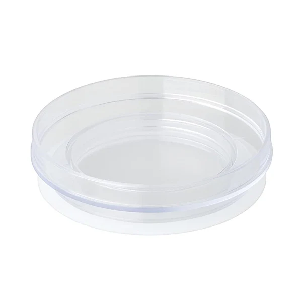 Dripster Carafe Lid