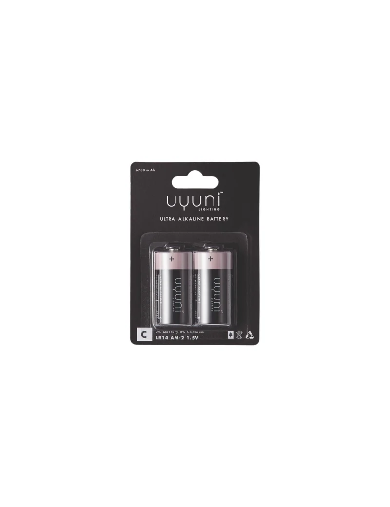 Lighting C batteri - 2 stk.