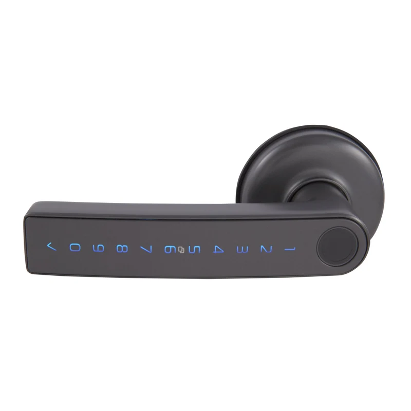Gainsborough Mode Smart Lever (Graphite)