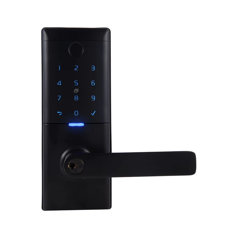 Gainsborough Mode Smart Entrance Lever (Matte Black)