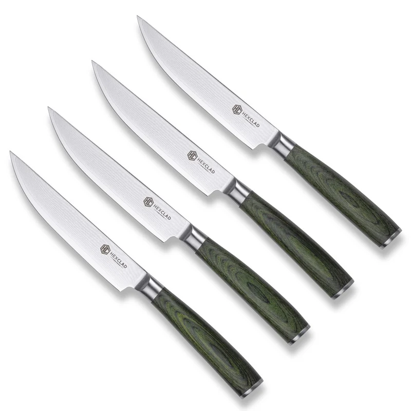 Hexclad Hybrid stekkniv set 4 delar silver/skogsgrön
