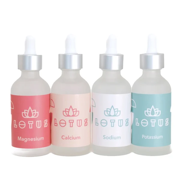 Lotus Brew Water Kit
